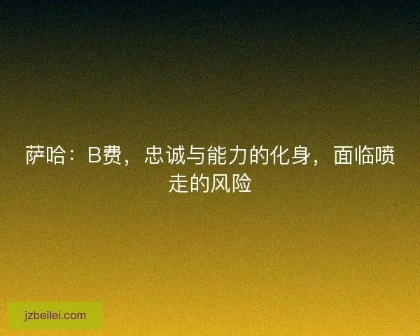 萨哈：B费，忠诚与能力的化身，面临喷走的风险